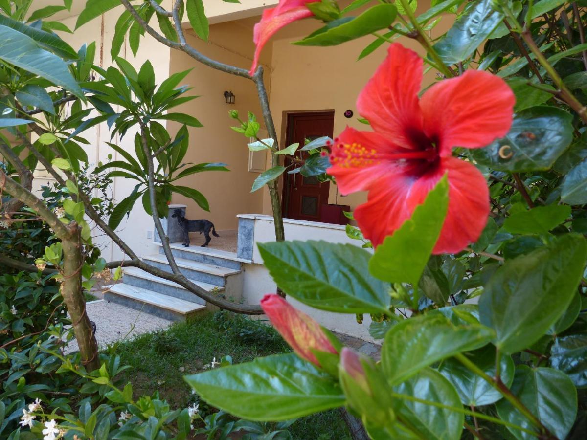Avgi Garden House Chania Chania  Exterior foto
