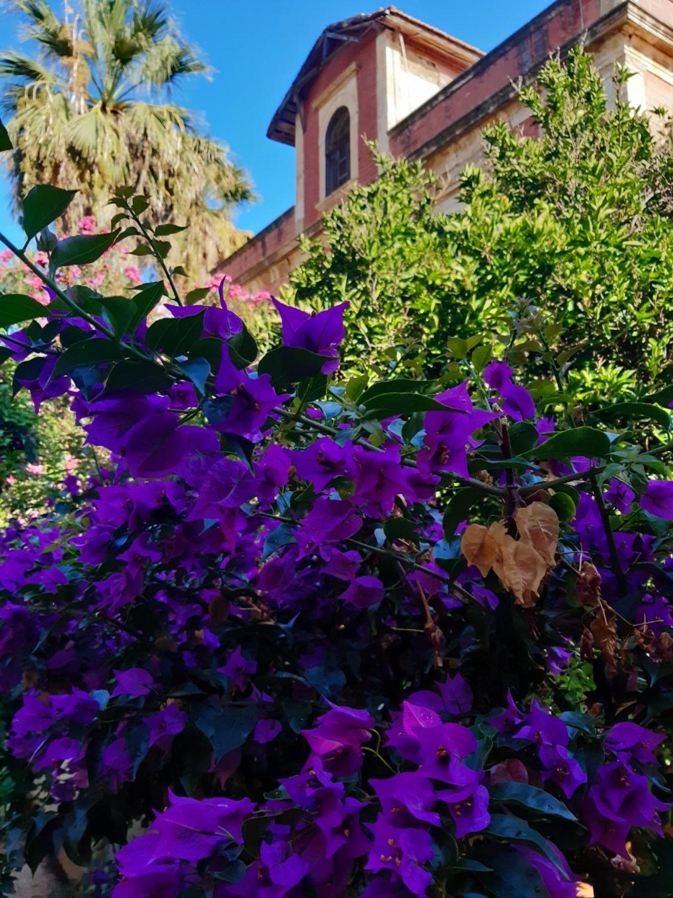 Avgi Garden House Chania Chania  Exterior foto