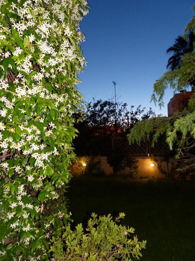 Avgi Garden House Chania Chania  Exterior foto